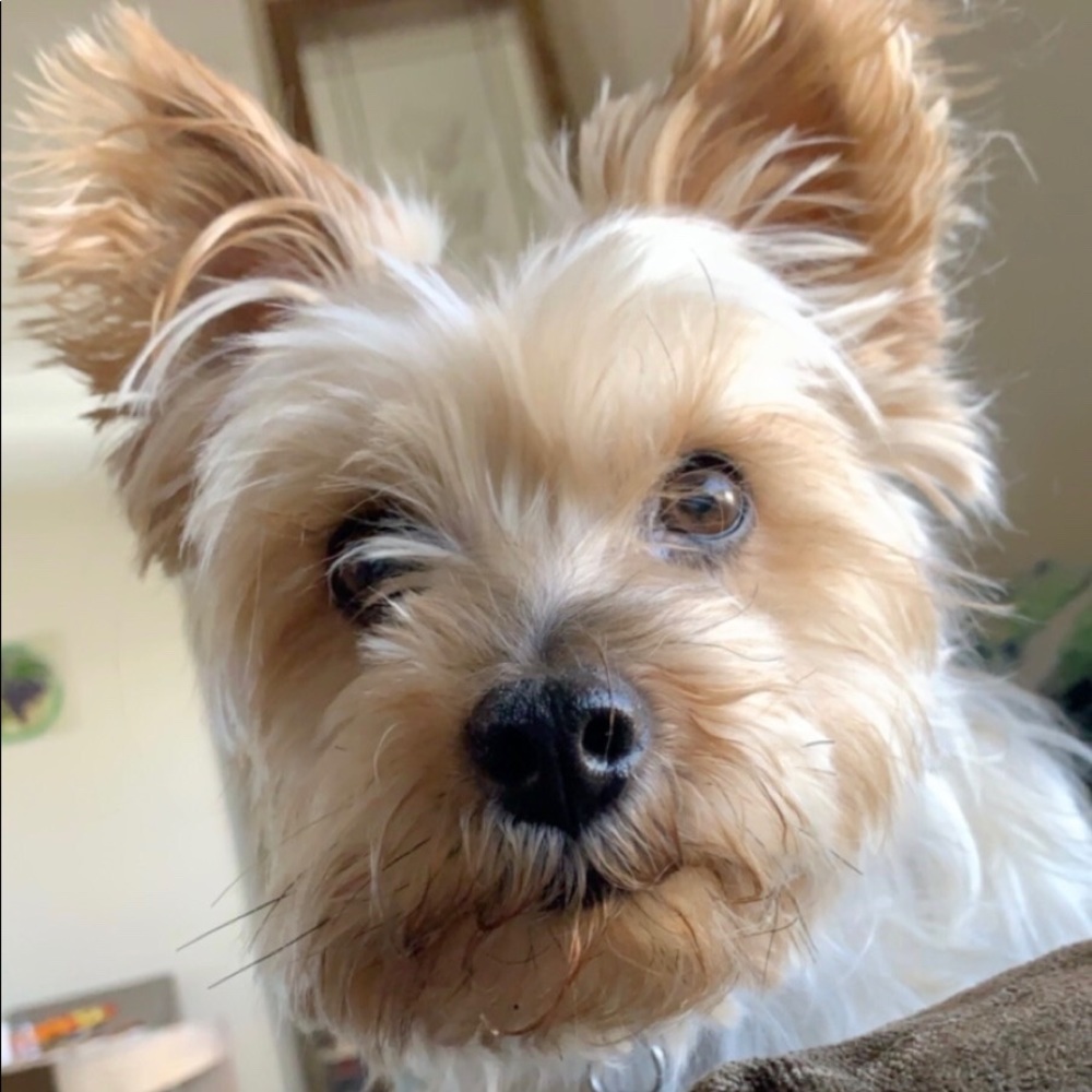 Meet your Posher, Judith